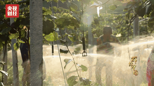 1506045572887358.gif 4.gif