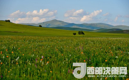 錫林郭勒草原。吳勇攝