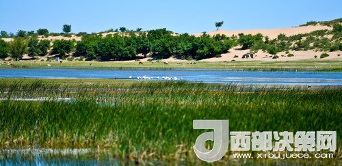 阿魯科爾沁保護(hù)區(qū)濕地沙丘。吳勇攝