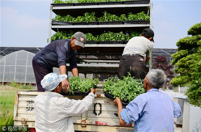 數(shù)字經(jīng)濟已經(jīng)成為我國經(jīng)濟社會更好發(fā)展的重要推動力，也為我國鄉(xiāng)村發(fā)展提供了新的歷史機遇。（圖片來源：視覺中國）