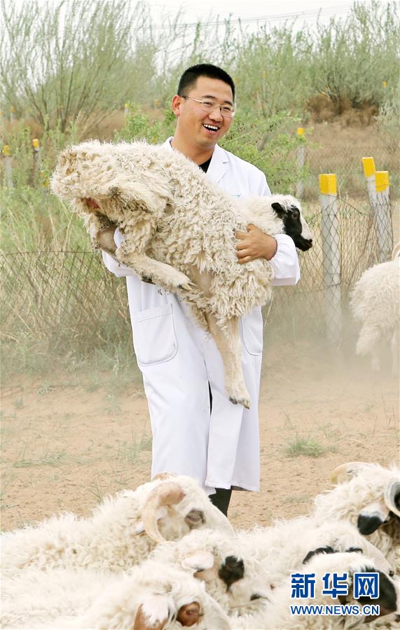 （壯麗70年·奮斗新時(shí)代——共和國(guó)發(fā)展成就巡禮·圖文互動(dòng)）（3）生態(tài)美、百姓富——品讀嶄新“寧夏畫卷”