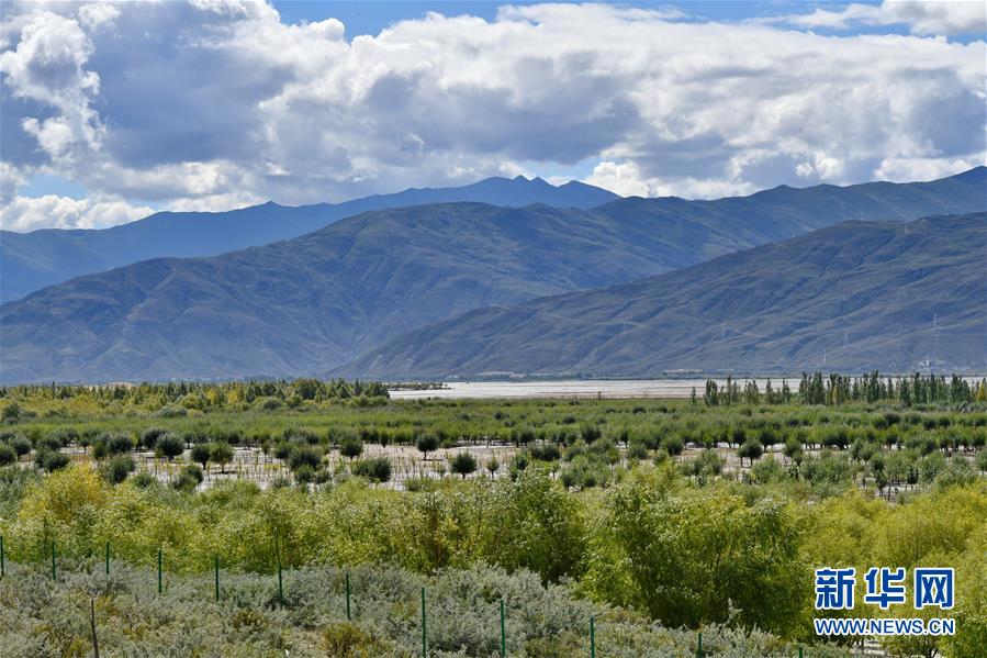 （圖文互動）（4）“今天的生活，就像夢里夢到那樣甜”——寫在西藏百萬農(nóng)奴解放61周年之際