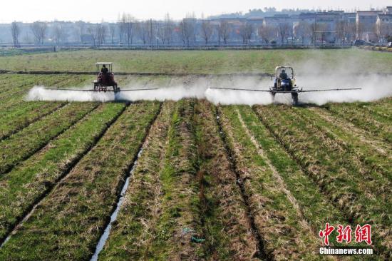 2月20日，南京湖熟街道現(xiàn)代農(nóng)業(yè)示范園區(qū)內(nèi)，工作人員駕駛自走式噴霧機給小麥噴灑除草劑。泱波 攝