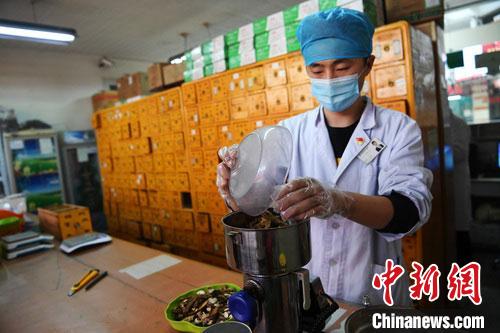 疫情發(fā)生以來(lái)，甘肅確保所有病例盡早、及時(shí)、全程使用中醫(yī)中藥，努力做到“一患一方案”。(資料圖) 楊艷敏 攝