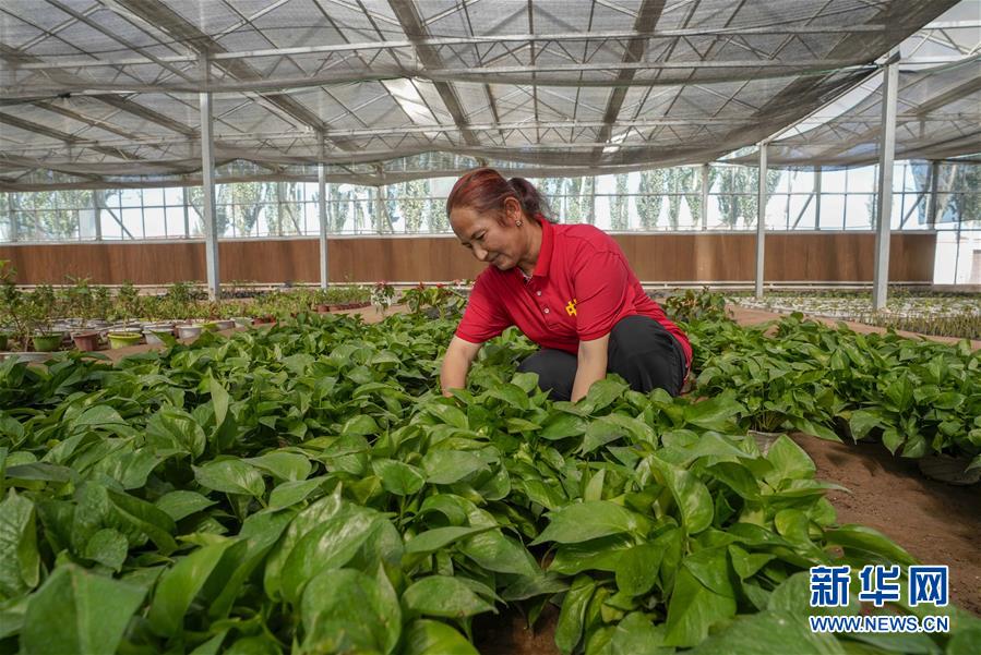 （新華全媒頭條·圖文互動(dòng)）（11）旗引天山南北　譜寫(xiě)發(fā)展新篇——以習(xí)近平同志為核心的黨中央關(guān)心新疆工作紀(jì)實(shí)