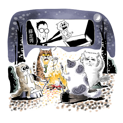 ▲物理學家薛定諤曾用一只貓比喻量子疊加。圖片來源：視覺中國