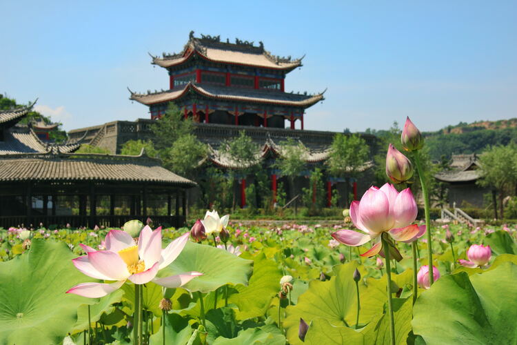 【云游渭南】心中若有桃花源，此處便是水云間！待疫情散盡，一起來渭南桃花源賞美景、觀民俗、享美食_fororder_2