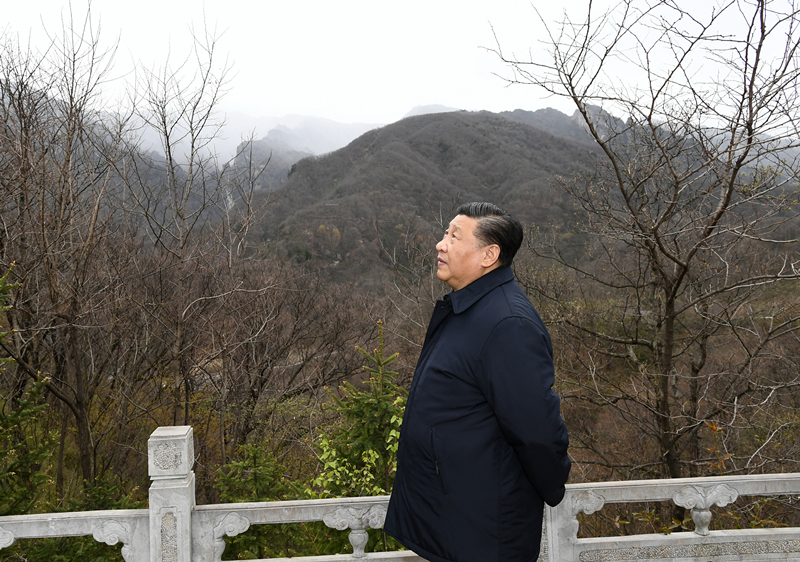 2020年4月20日，習近平在陜西秦嶺牛背梁國家級自然保護區(qū)，了解秦嶺生態(tài)保護工作情況。